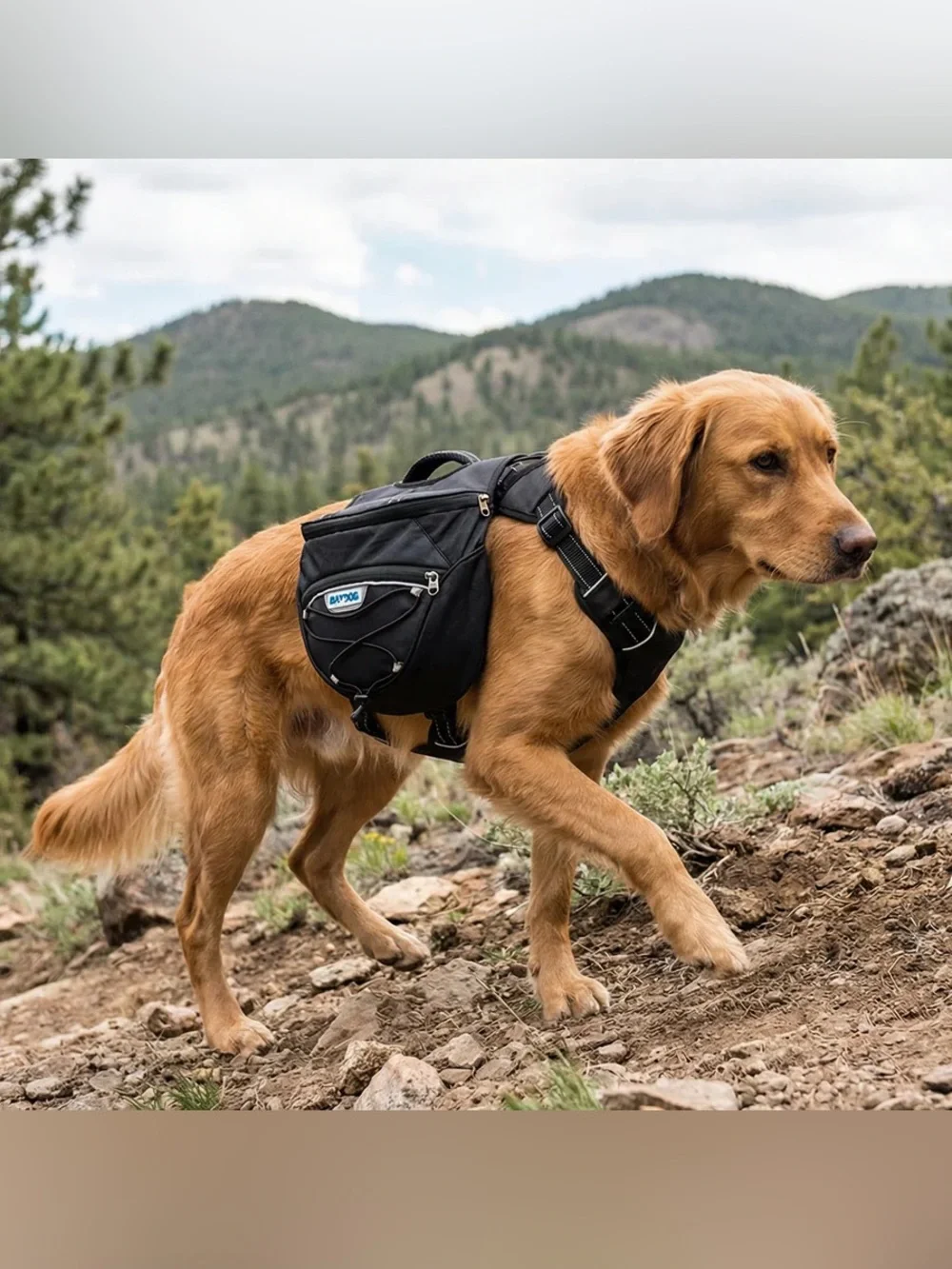NWT Baydog Backpack/Harness XL